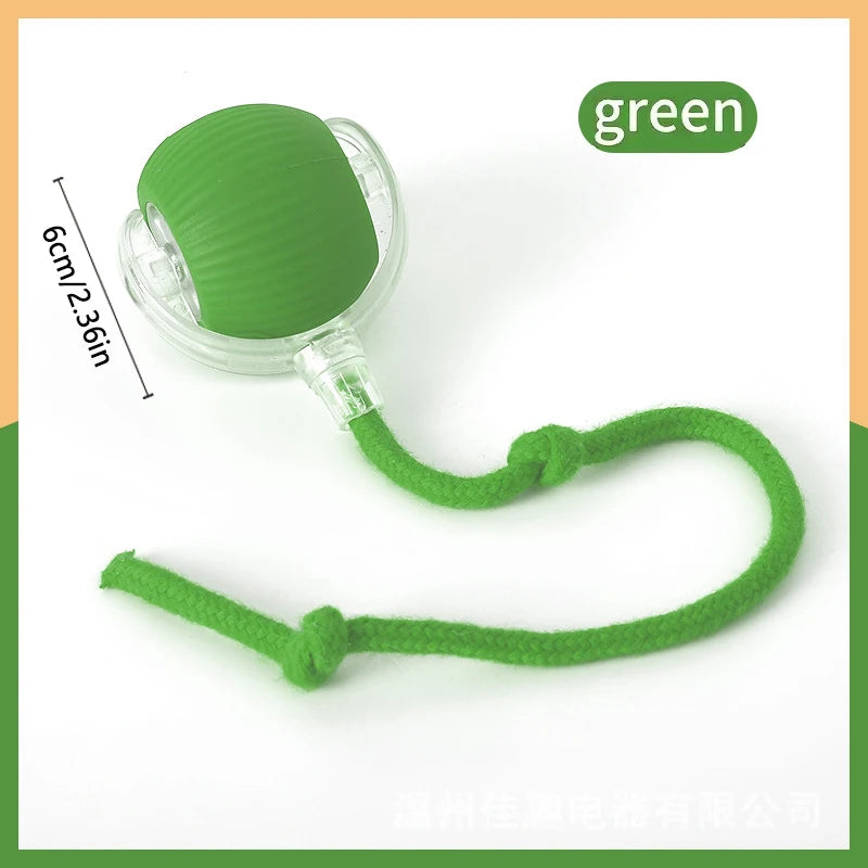 Smart Ball Dog Toys