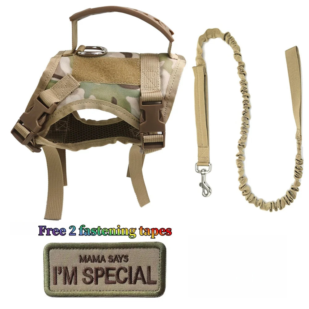 Tactical Cat Harness & Leash Set