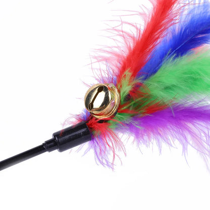 Interactive Feather Cat Teaser
