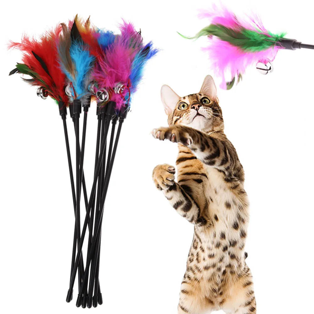 Interactive Feather Cat Teaser