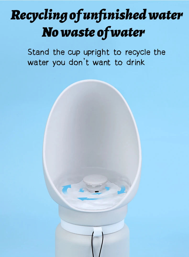 Folding Pet Water Dispenser
