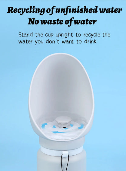 Folding Pet Water Dispenser