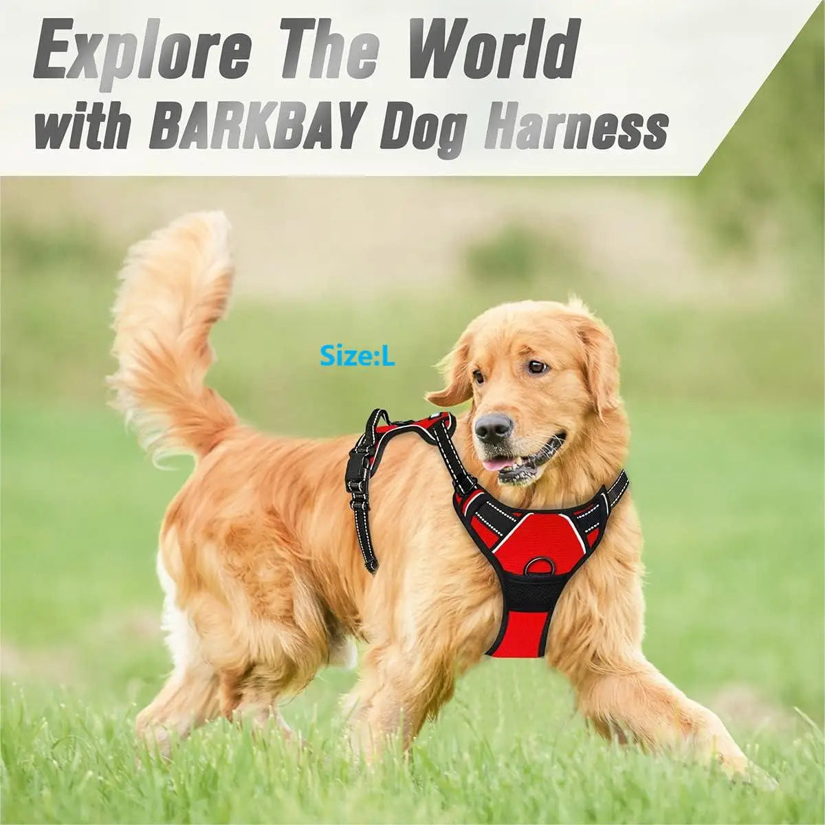 No Pull Reflective Dog Harness