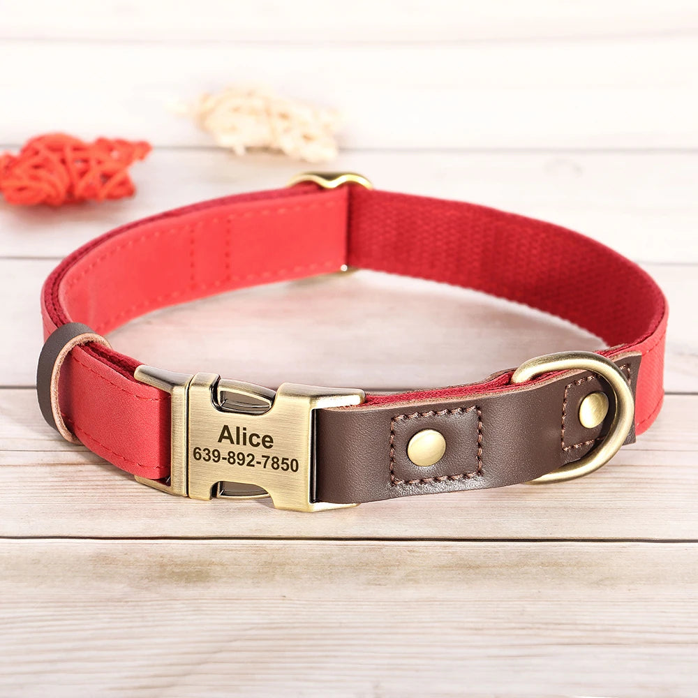 Personalized Dog Collar Leash