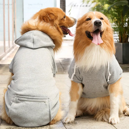 Cool Dog Hoodies: Cozy & Trendy Canine Attire
