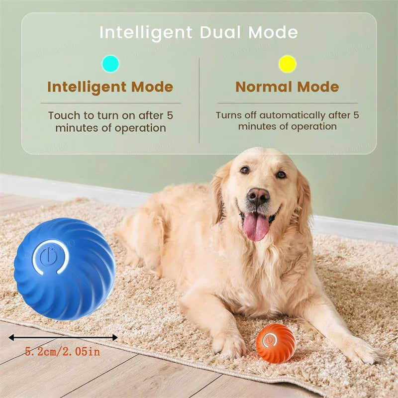 Smart Ball Dog Toys