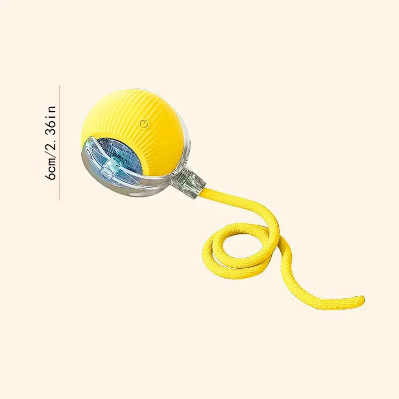 Smart Ball Dog Toys