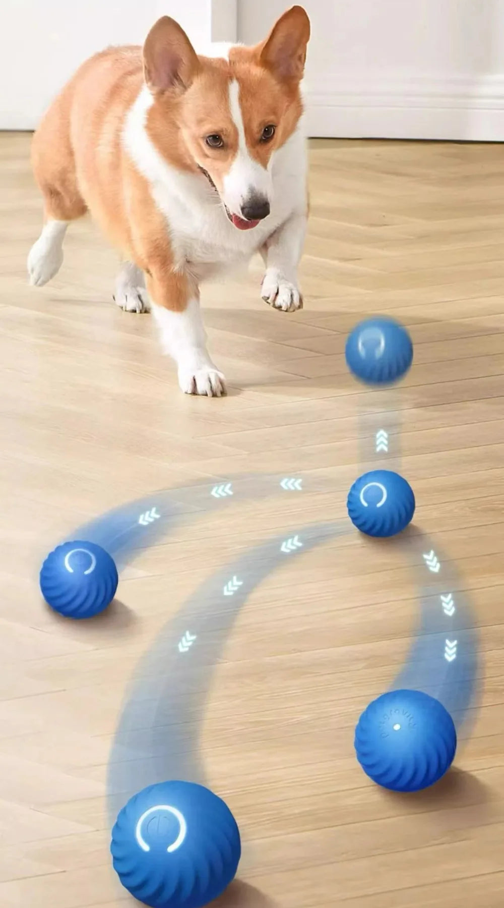 Automatic Interactive Dog Toy Ball