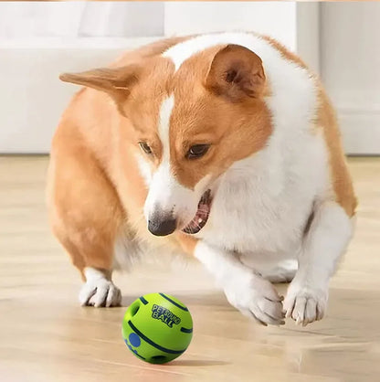 Giggling Glow Ball for Dogs