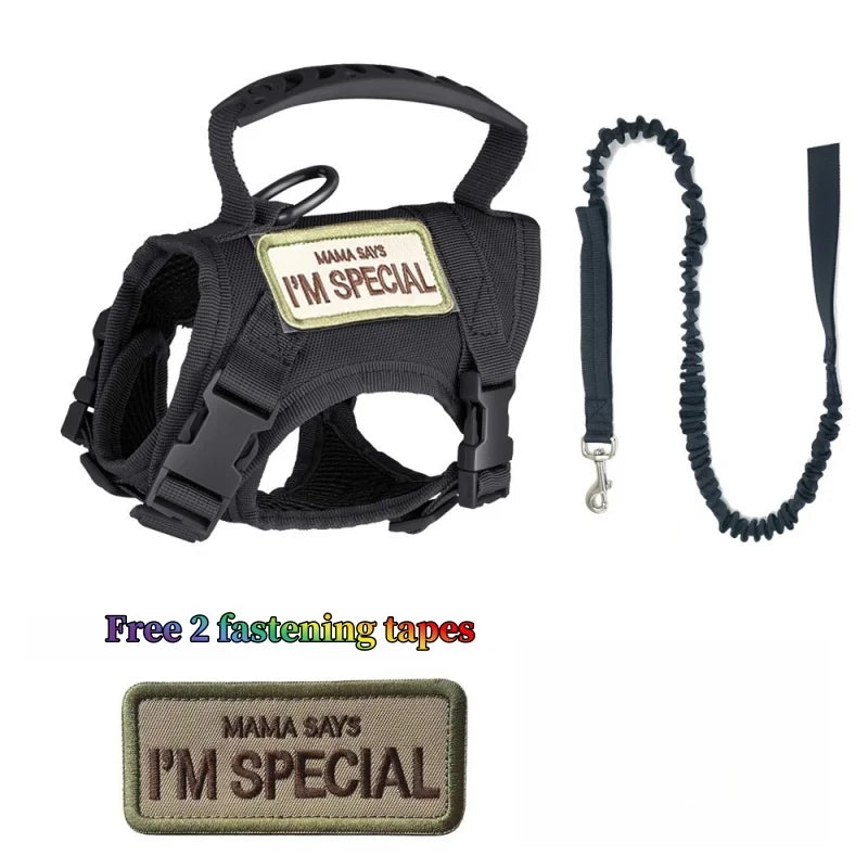 Tactical Cat Harness & Leash Set