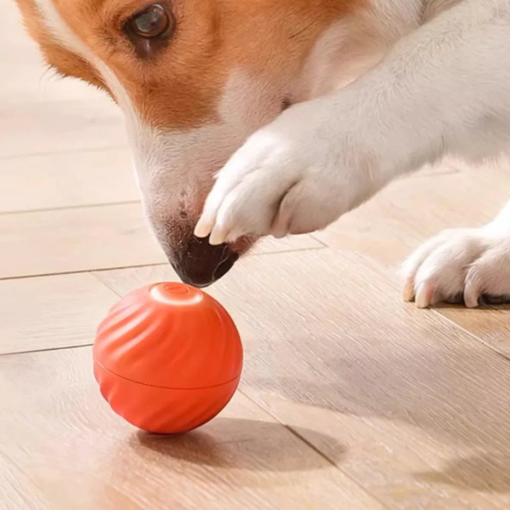 Automatic Interactive Dog Toy Ball