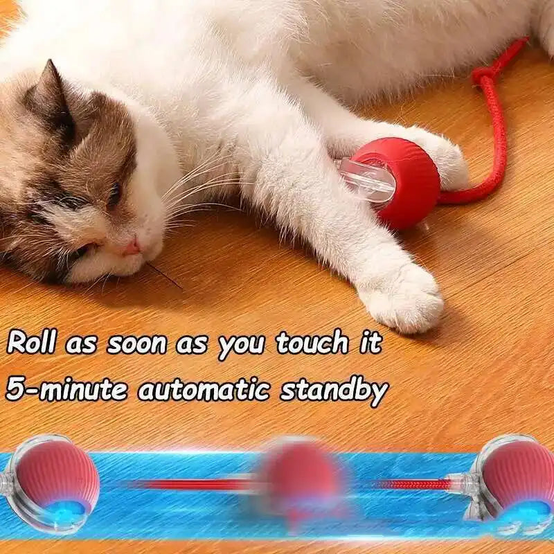 Smart Dog Interactive Automatic Rolling Toys