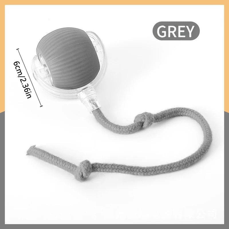 Smart Ball Dog Toys