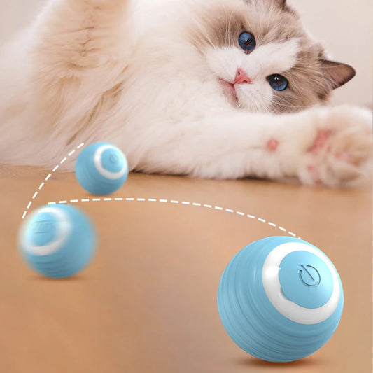 Magic Cat Ball Toy