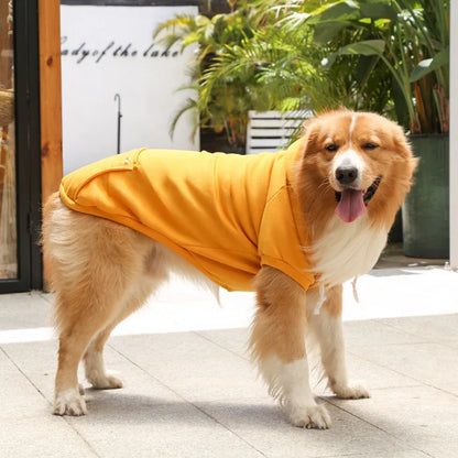 Cool Dog Hoodies: Cozy & Trendy Canine Attire