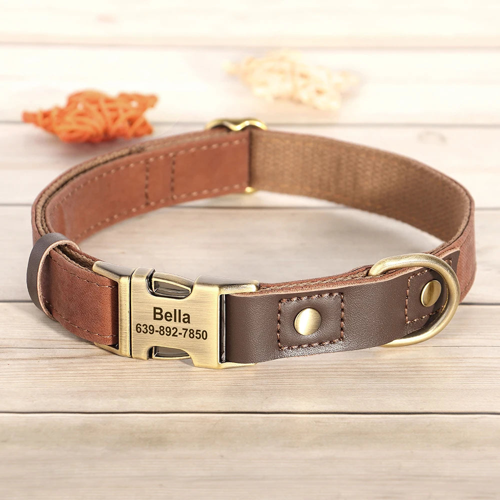 Personalized Dog Collar Leash
