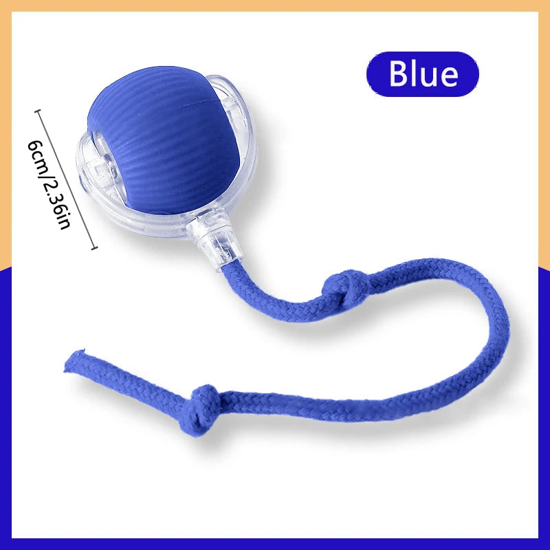 Smart Ball Dog Toys