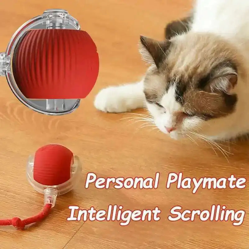 Smart Dog Interactive Automatic Rolling Toys
