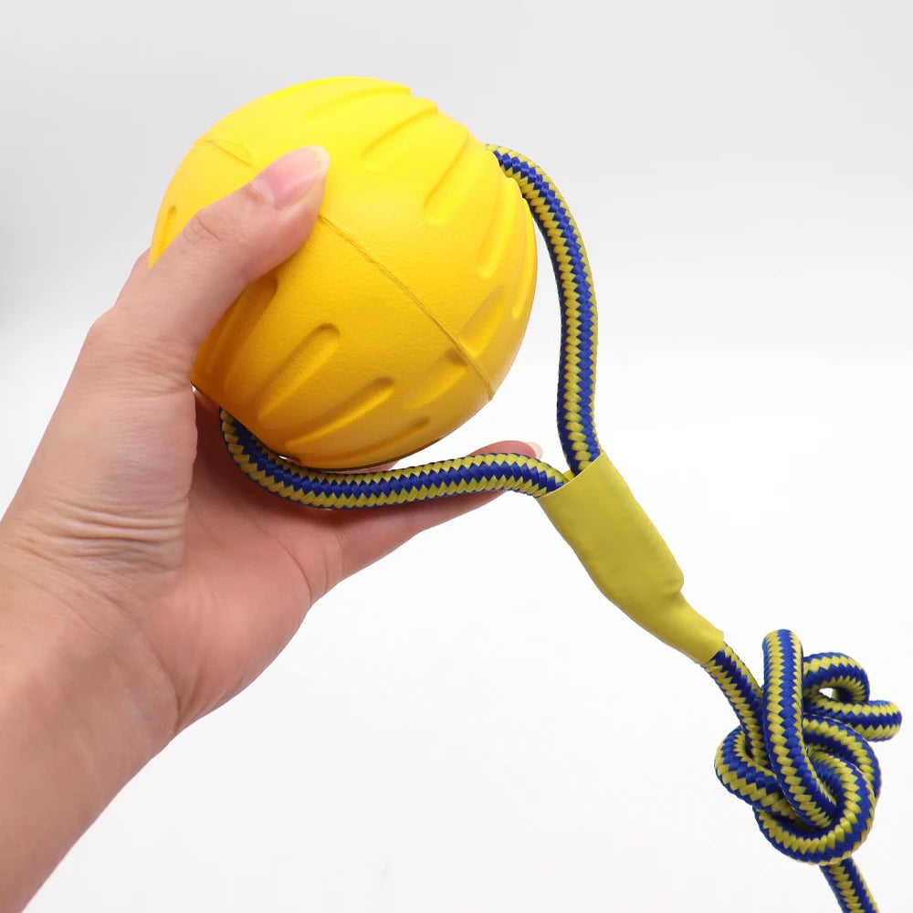 Interactive Pet Toy Ring