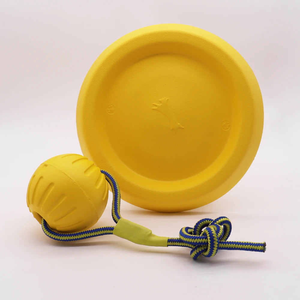 Interactive Pet Toy Ring
