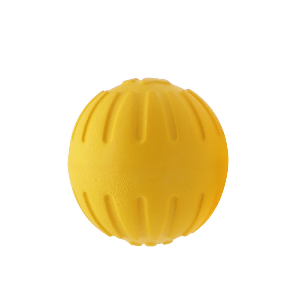 Interactive Pet Toy Ring