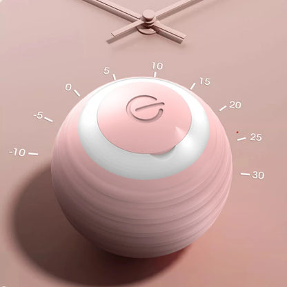 Magic Cat Ball Toy