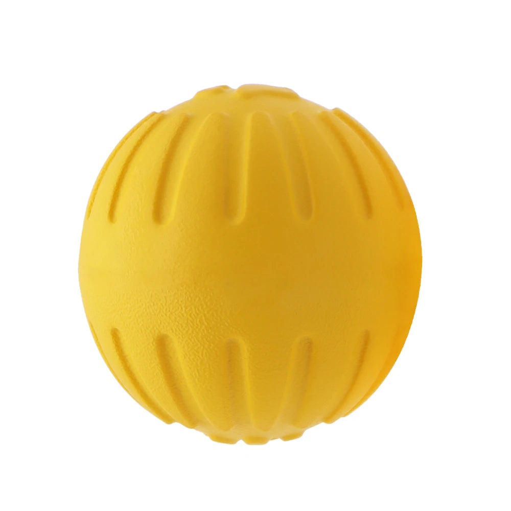 Interactive Pet Toy Ring