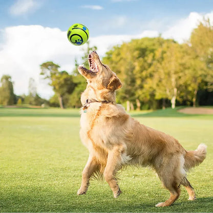 Giggling Glow Ball for Dogs