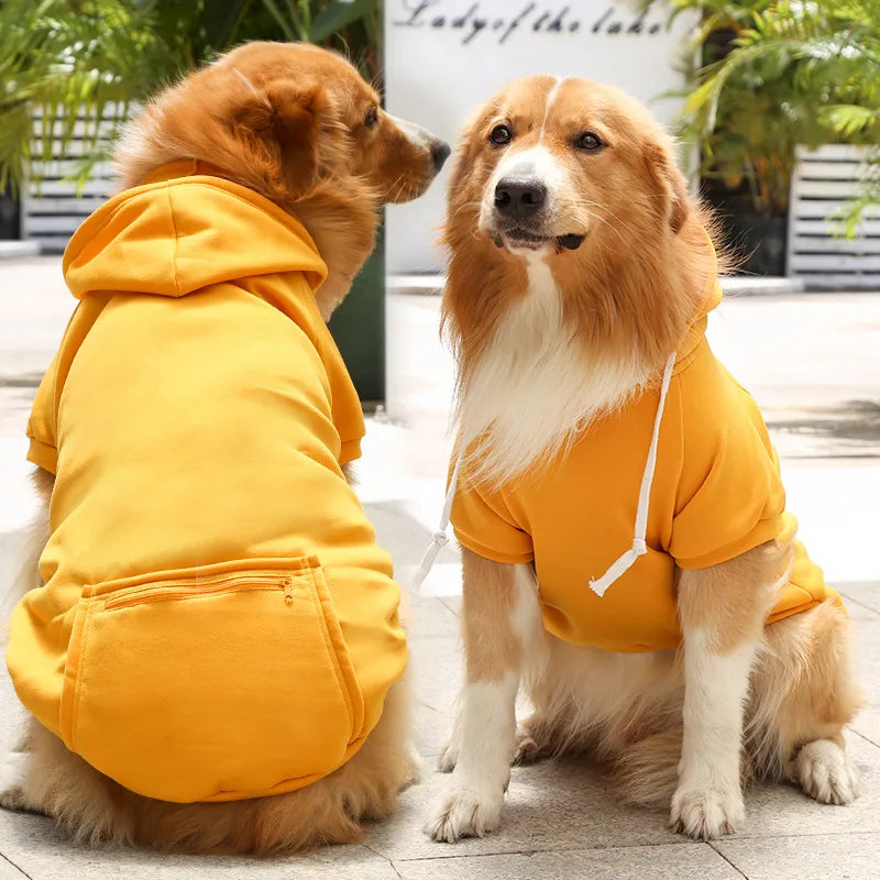 Cool Dog Hoodies: Cozy & Trendy Canine Attire