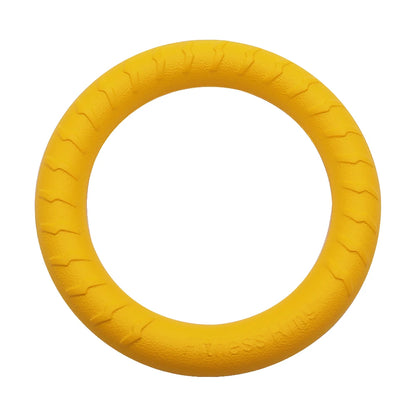 Interactive Pet Toy Ring