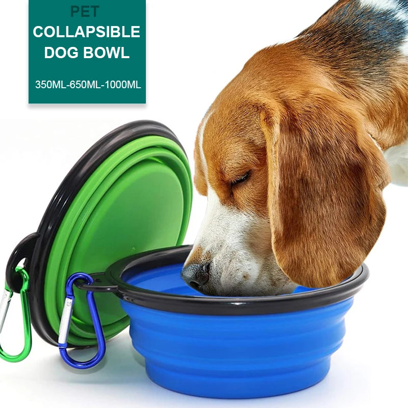 Paw Puzzle Feeder