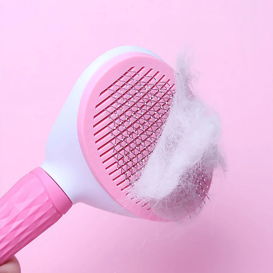 Hair Remover Brush