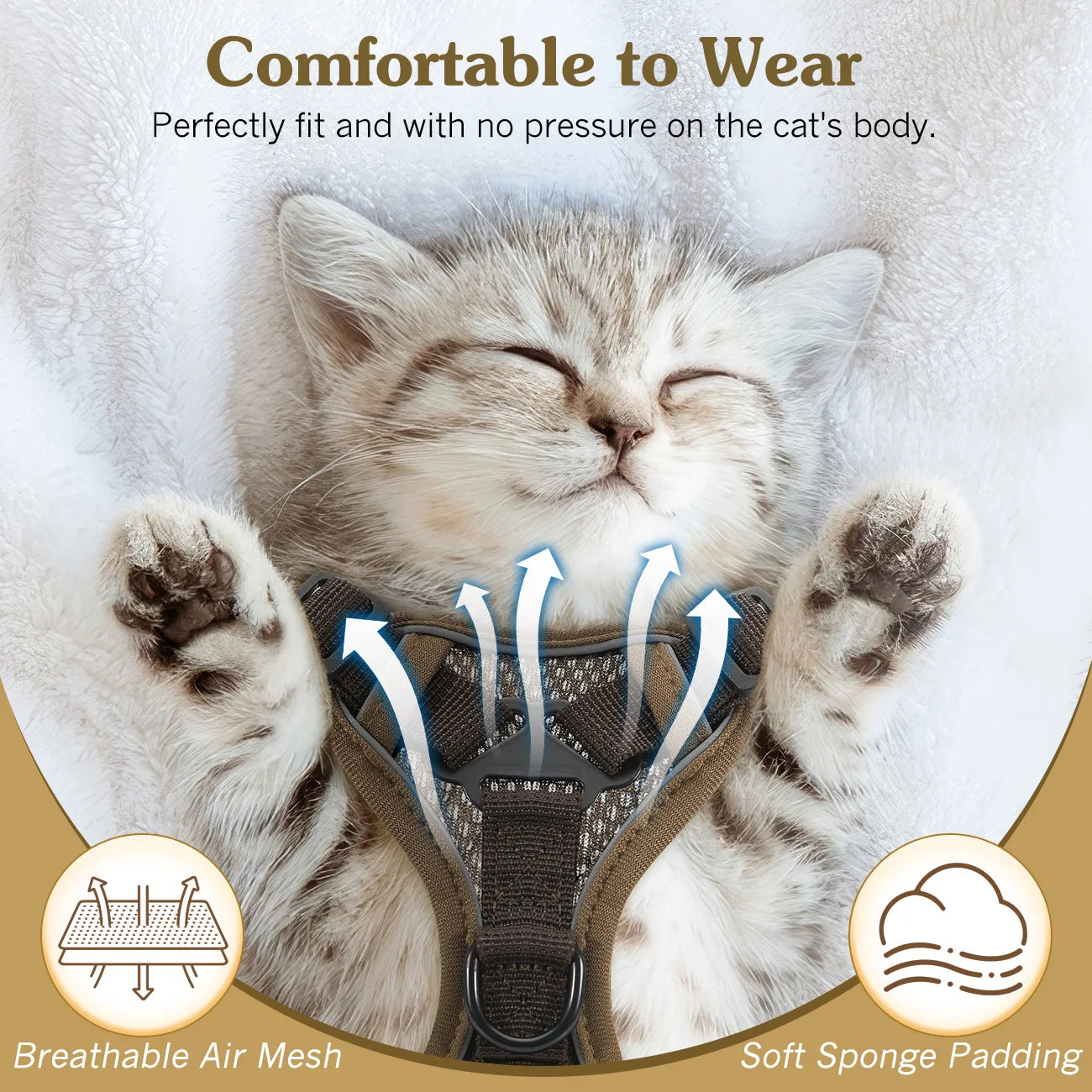 Cat Harness and Leash Set