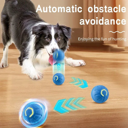 Smart USB Jumping Ball Toy