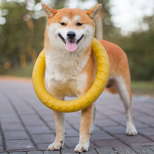 Interactive Pet Toy Ring