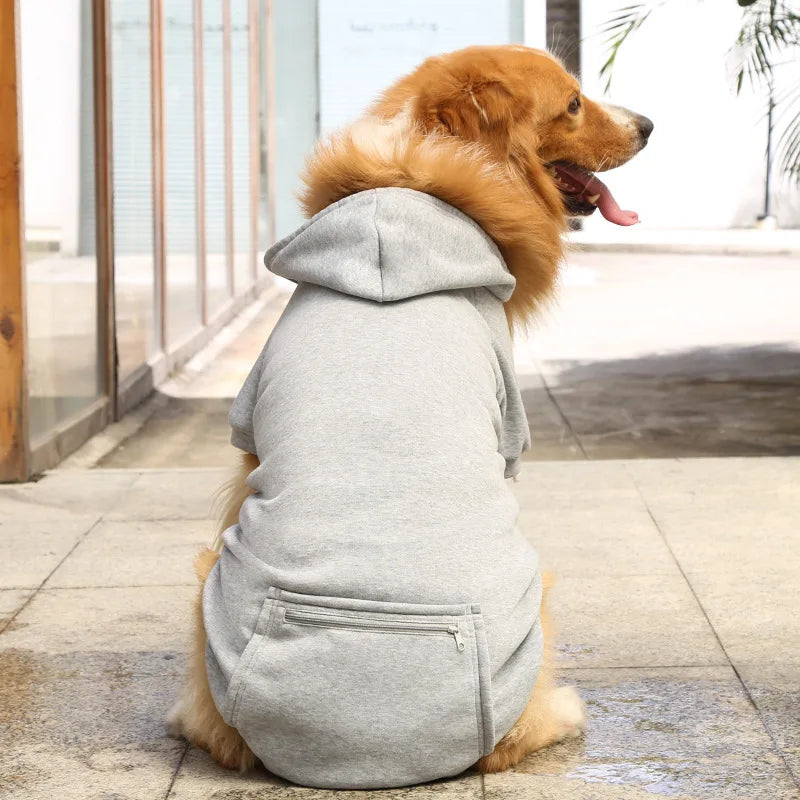 Cool Dog Hoodies: Cozy & Trendy Canine Attire