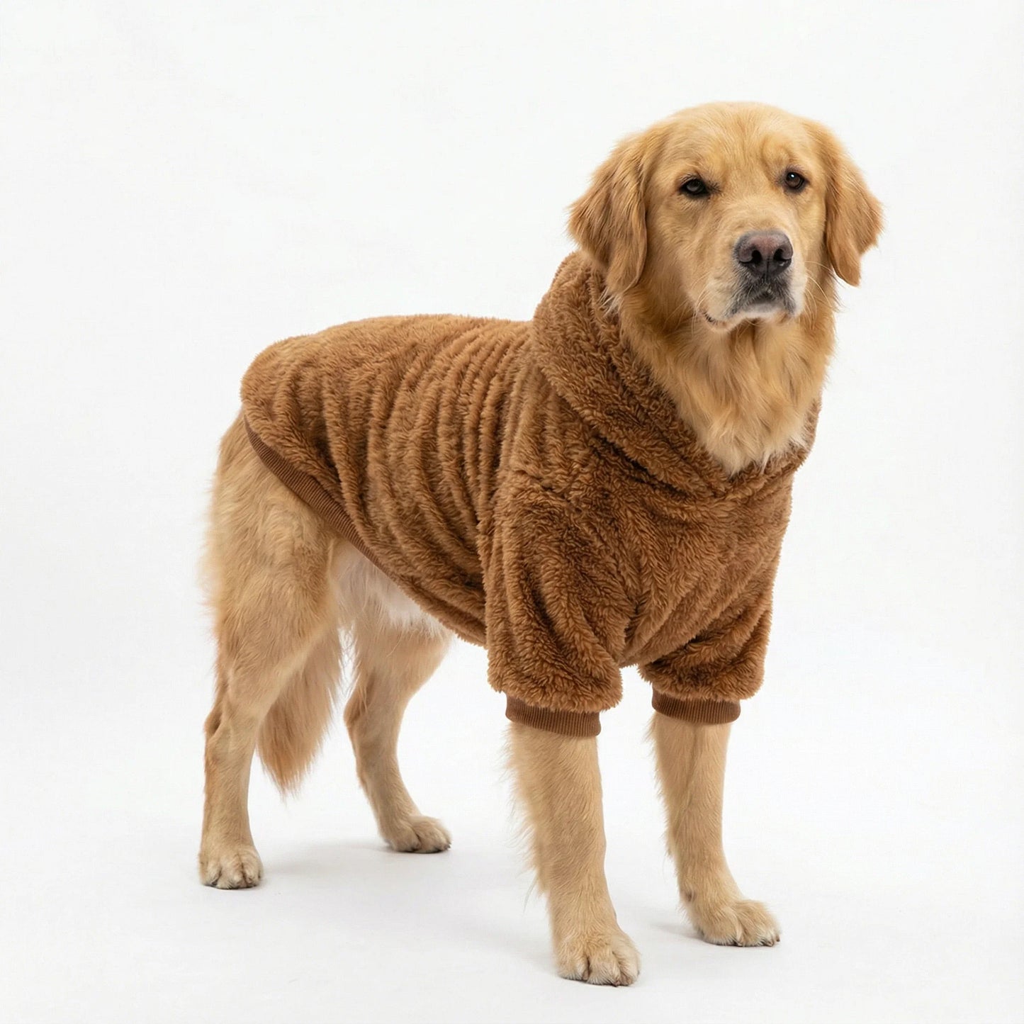 Cozy Dog Hooded Sweatshirt