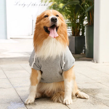 Cool Dog Hoodies: Cozy & Trendy Canine Attire