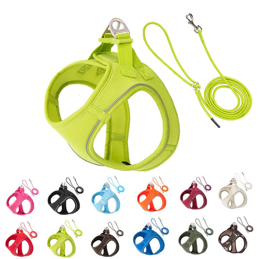 Dog Harness Leash Set