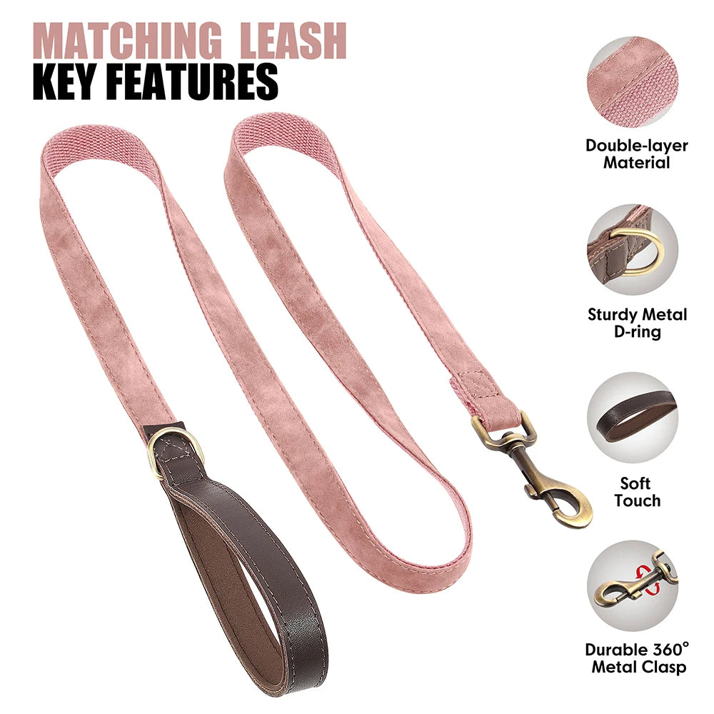 Personalized Dog Collar Leash