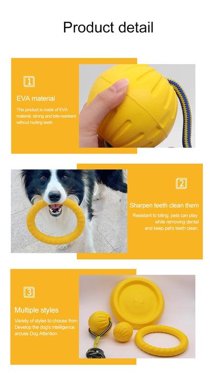 Interactive Pet Toy Ring