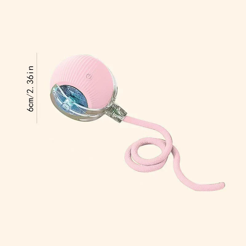 Smart Ball Dog Toys
