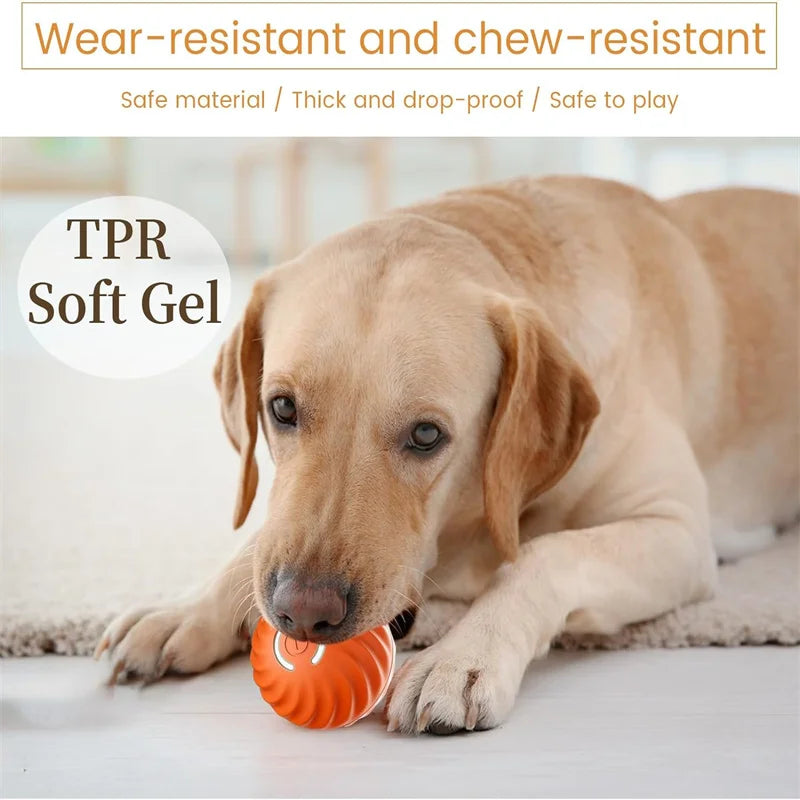Smart Ball Dog Toys