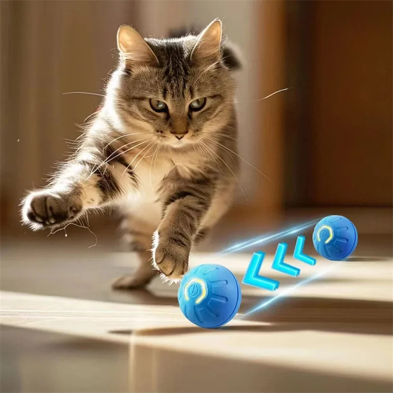 Smart Ball Dog Toys