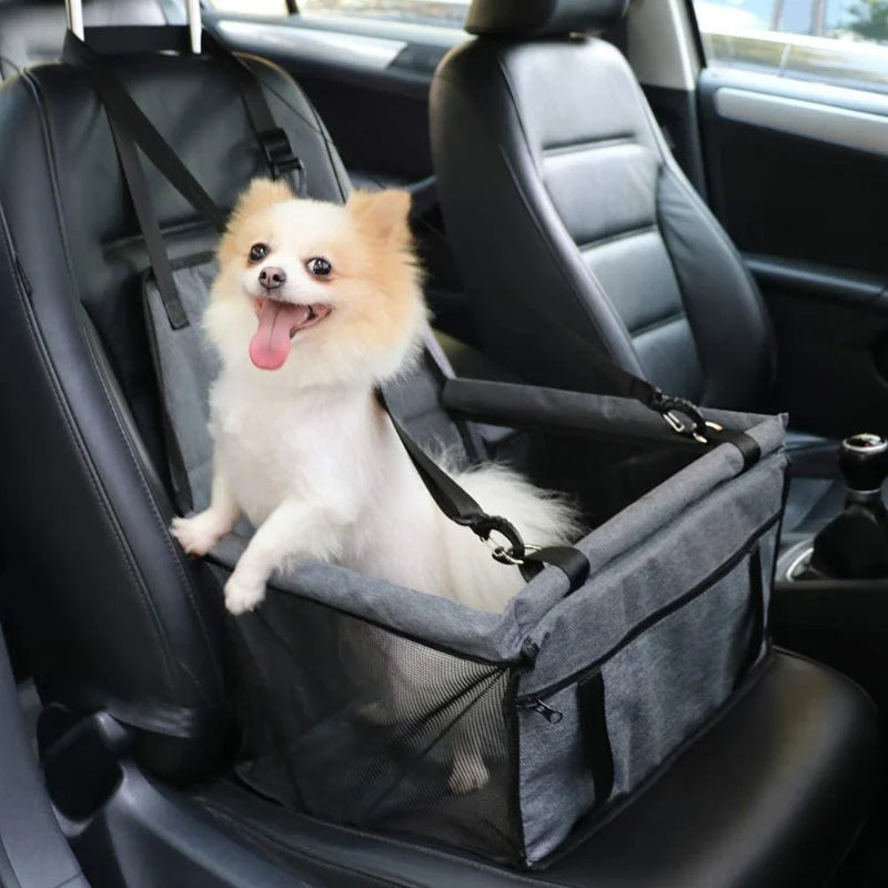 Pet Travel Safety Carrier