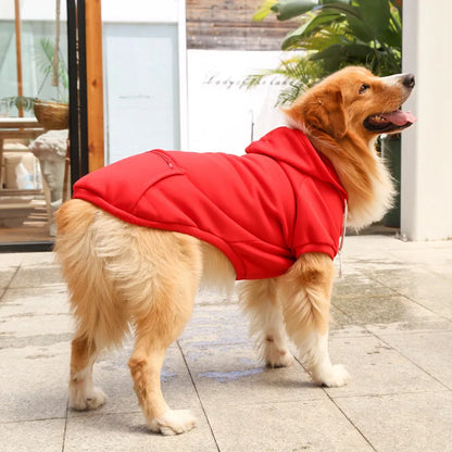 Cool Dog Hoodies: Cozy & Trendy Canine Attire