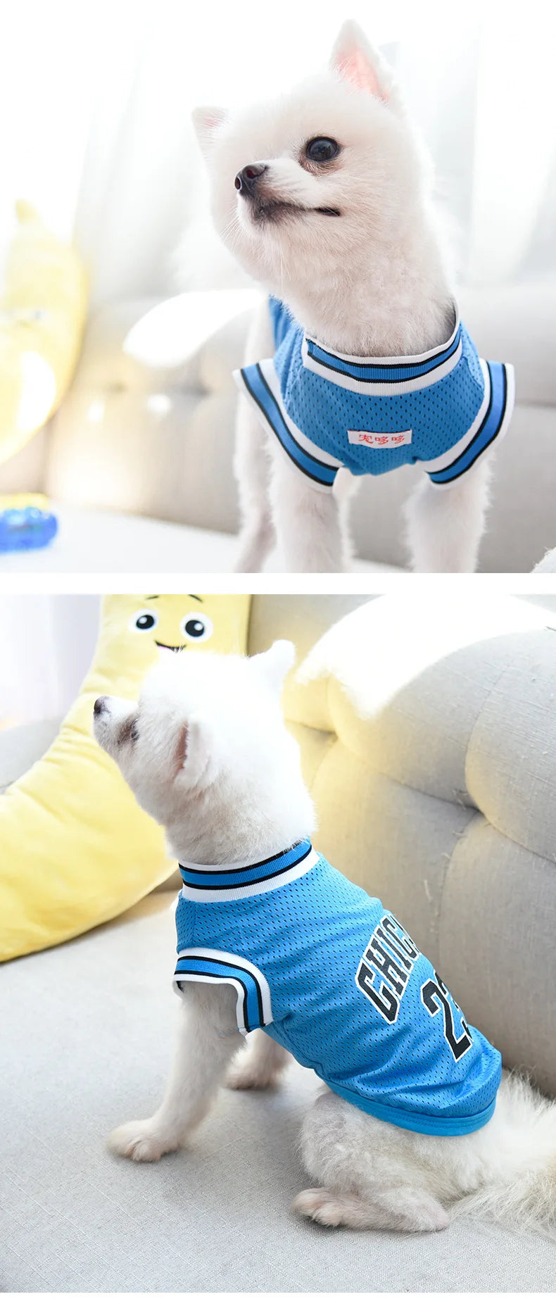 Puppy Sport Jersey