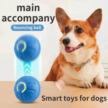 Smart USB Jumping Ball Toy