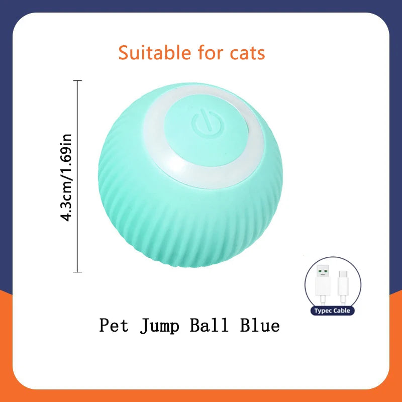 Smart Ball Dog Toys