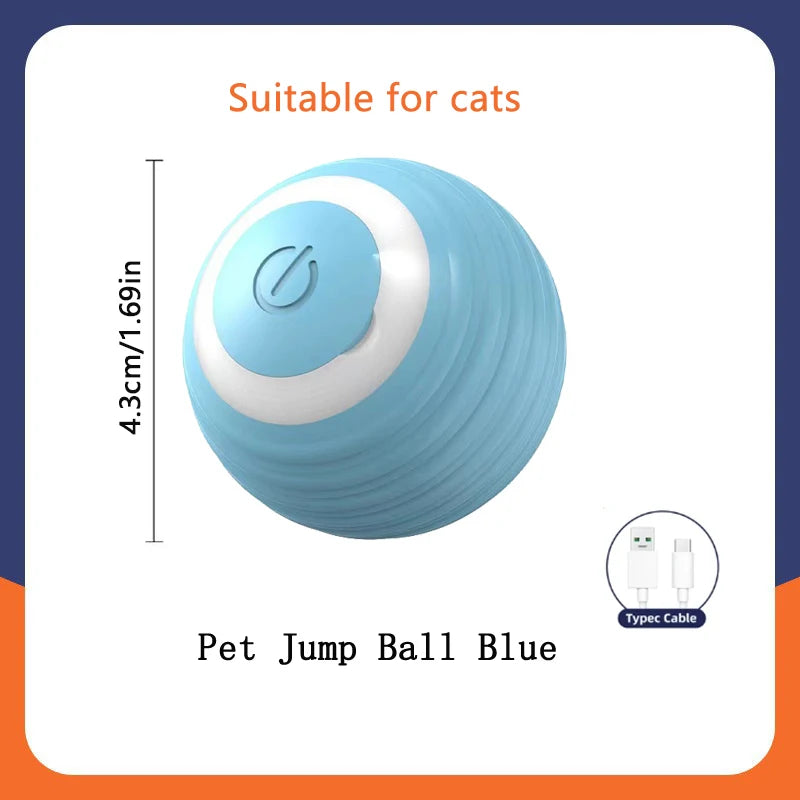 Smart Ball Dog Toys